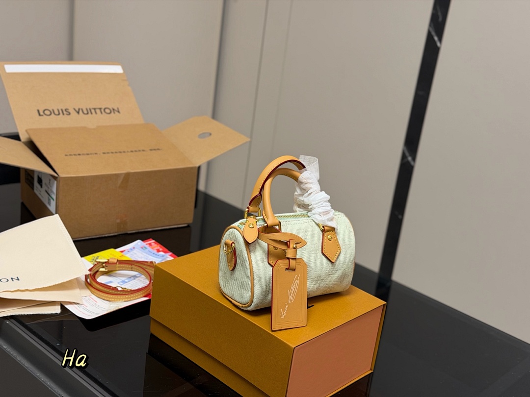 Louis Vuitton Speedy view