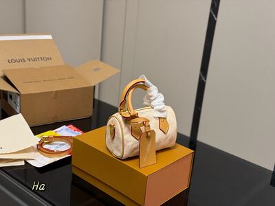 Louis Vuitton Speedy view 21