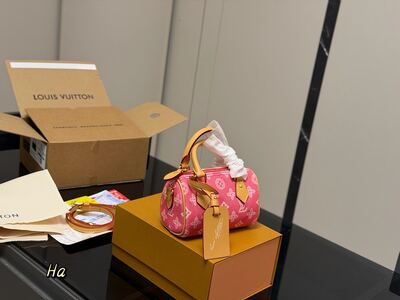 Louis Vuitton Speedy view 22