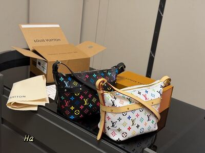 Louis Vuitton Papillon view 5