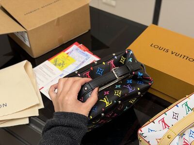 Louis Vuitton Papillon view 7