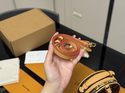 Louis Vuitton Speedy Bandouliere view 7