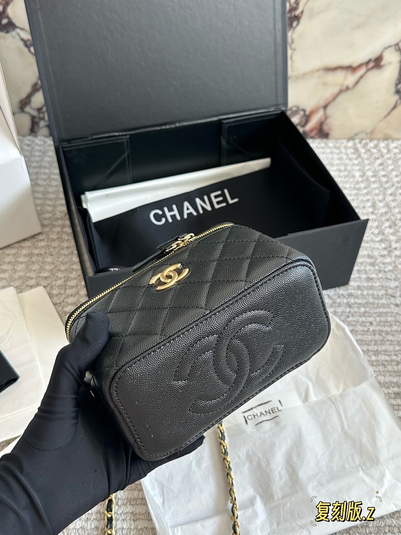 Chanel Camera Bag CC Logo