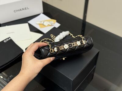 Chanel Classic Flap Bag view 10