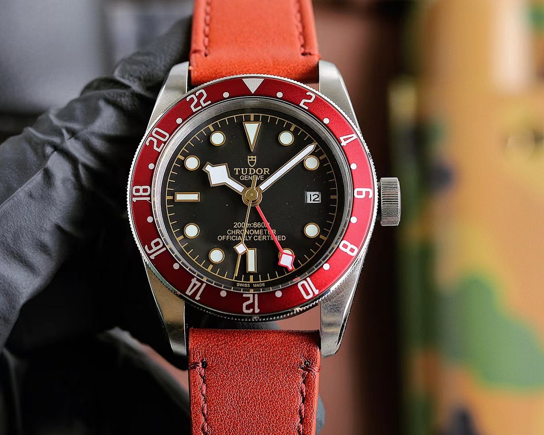 Tudor Black Bay Watch view