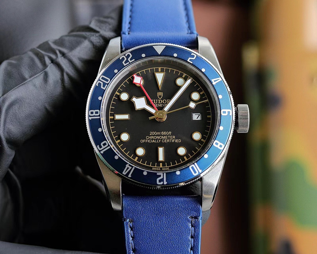 Tudor Black Bay Watch view