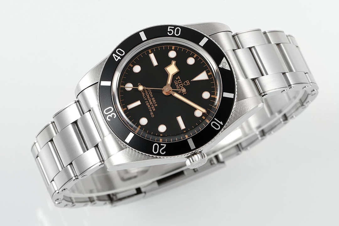 Tudor Black Bay Watch view