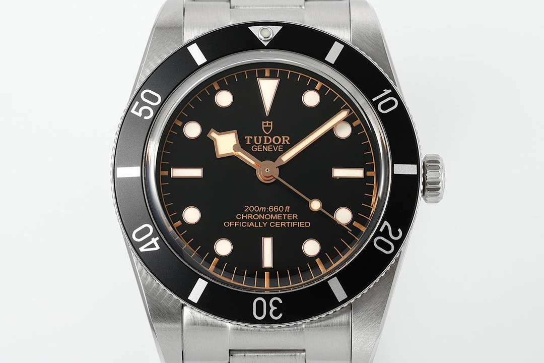 Tudor Black Bay Watch view