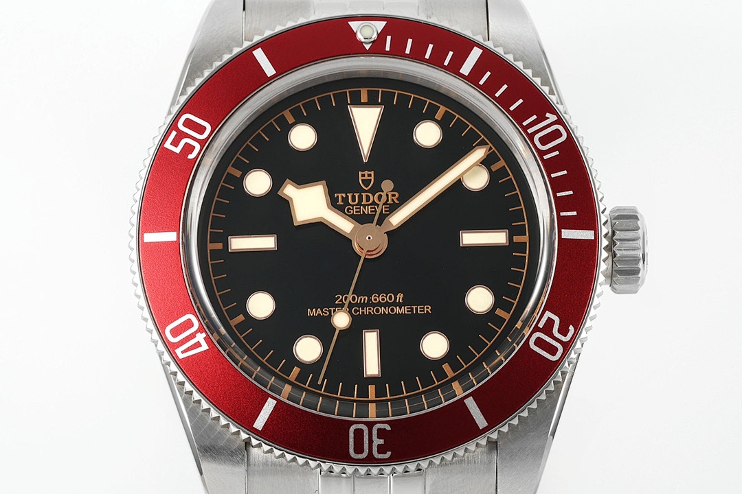Tudor Black Bay Watch view