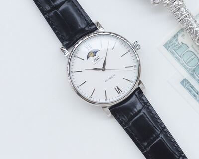 IWC Portofino Watch view 5