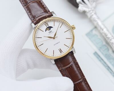 IWC Portofino Watch view 7