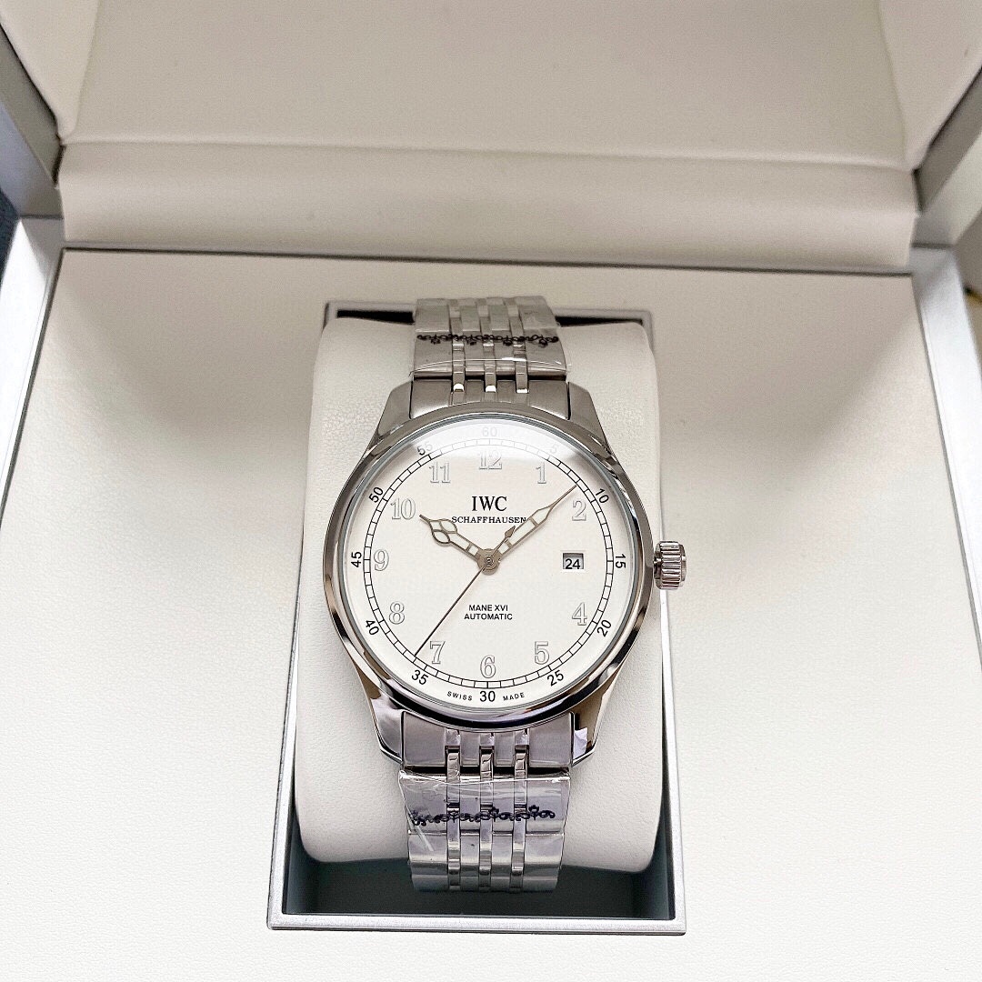 IWC Pilot Watch view