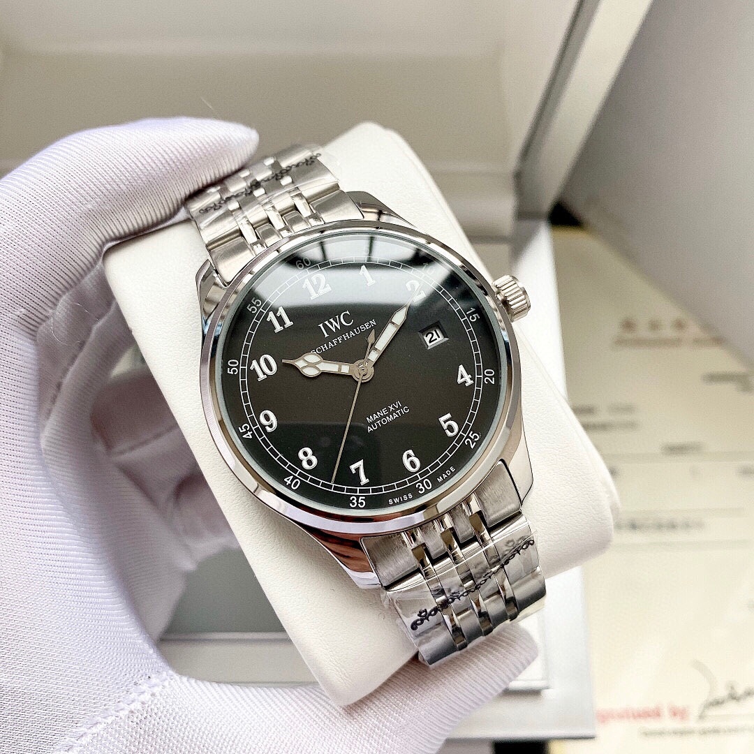 IWC Pilot Watch view