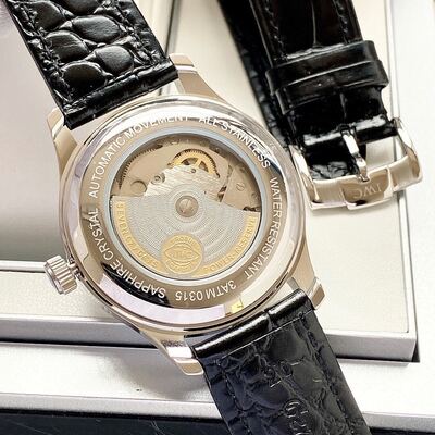 IWC Mane XVI Watch view 2