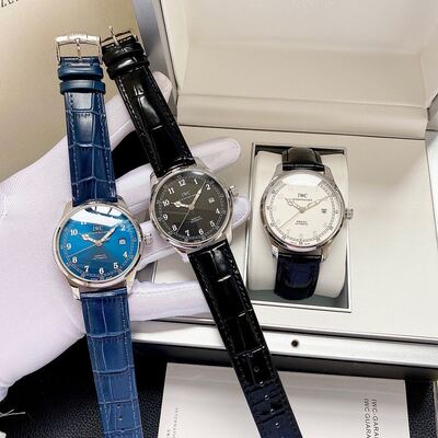 IWC Mane XVI Watch view 3