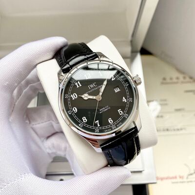 IWC Mane XVI Watch view 5