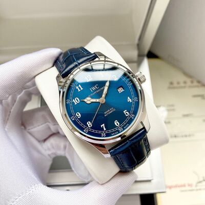IWC Mane XVI Watch view 6