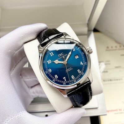 IWC Mane XVI Watch view 7