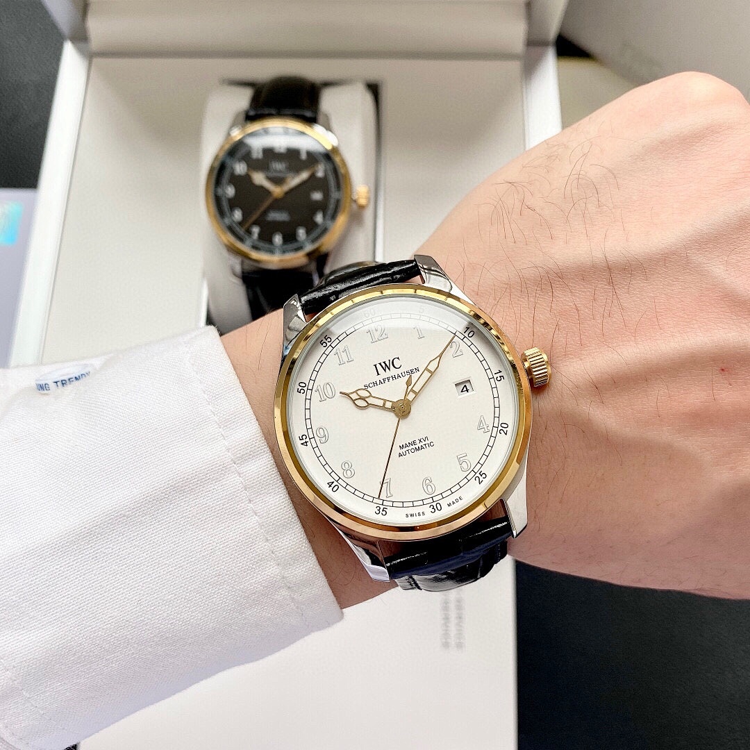 IWC Mane XVI Watch view