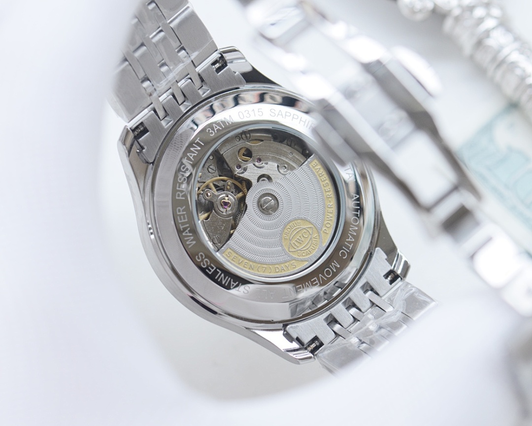 IWC Pilot Watch view