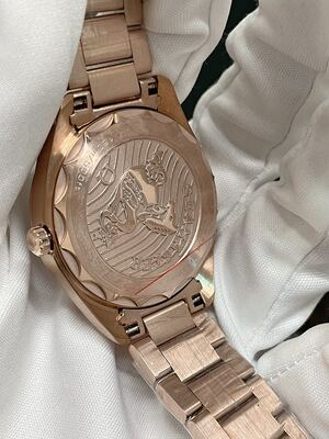 Omega Seamaster Watch view 2