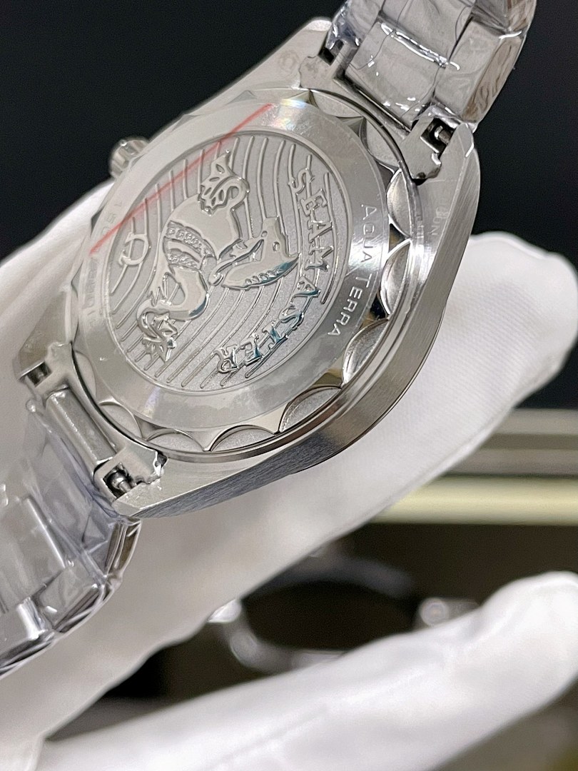 Omega Seamaster Watch view