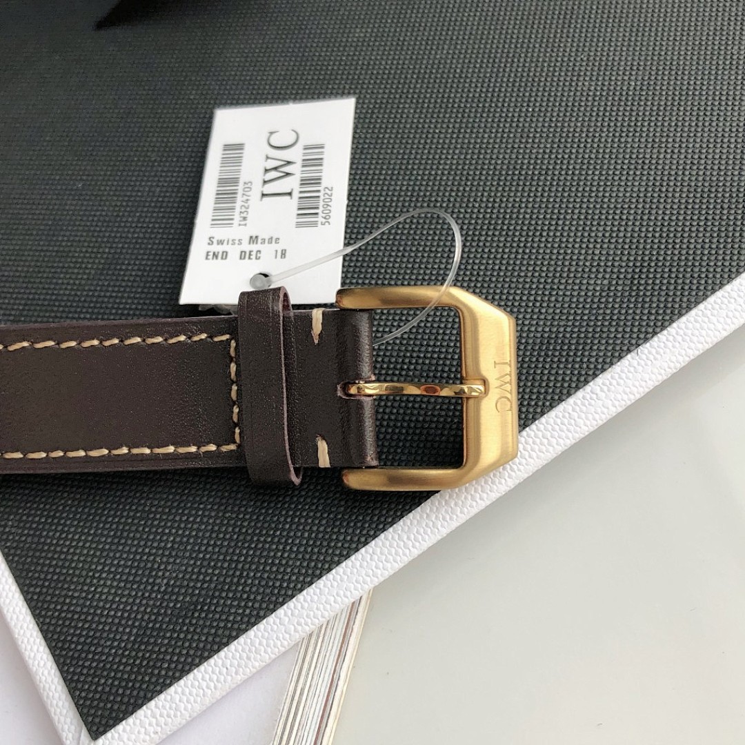 IWC Pilot Mark Watch view