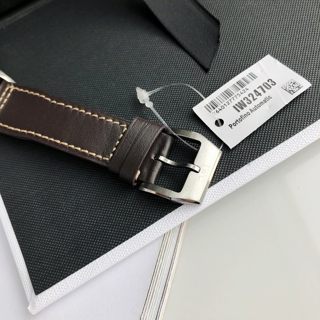 IWC Pilot Watch view