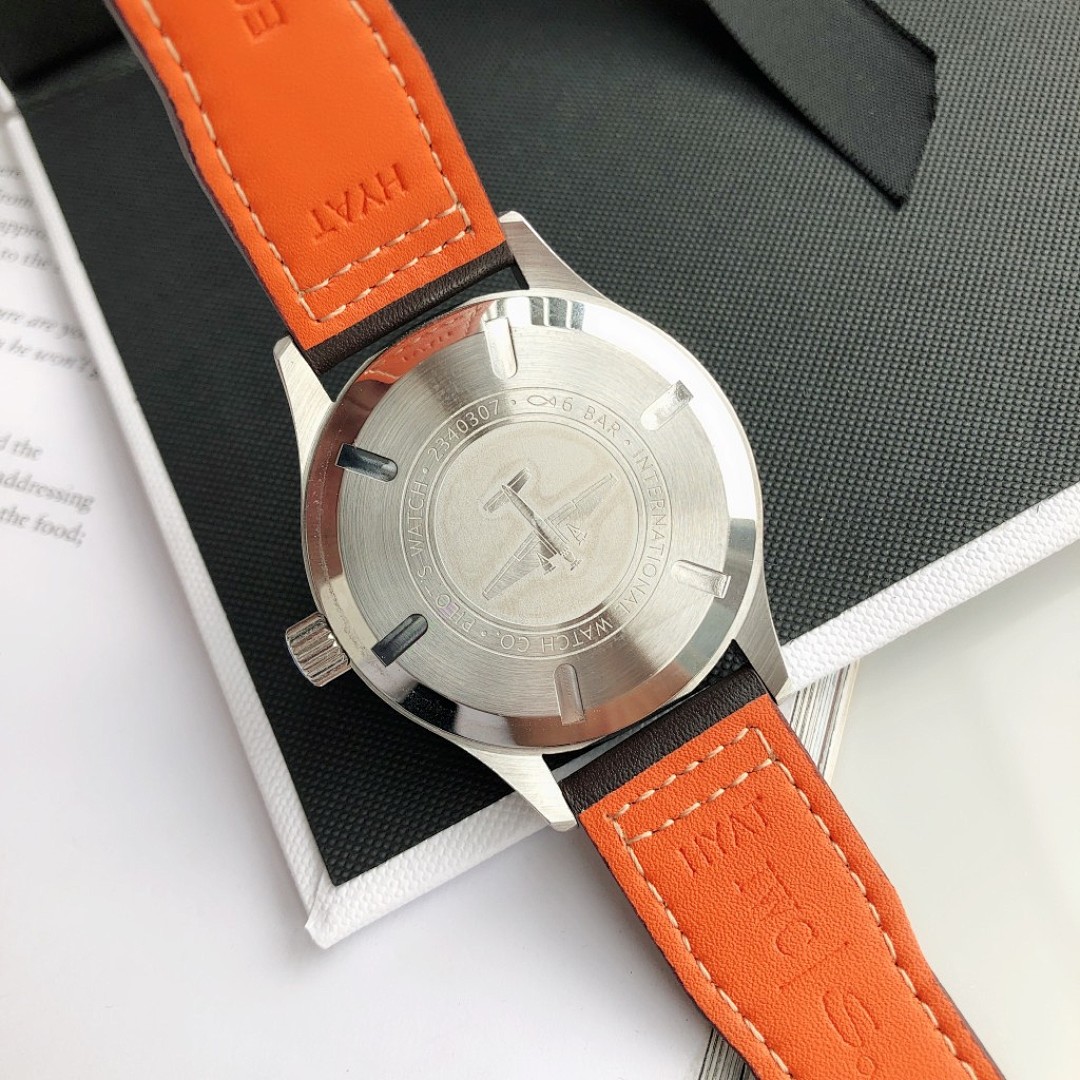 IWC Pilot Watch view