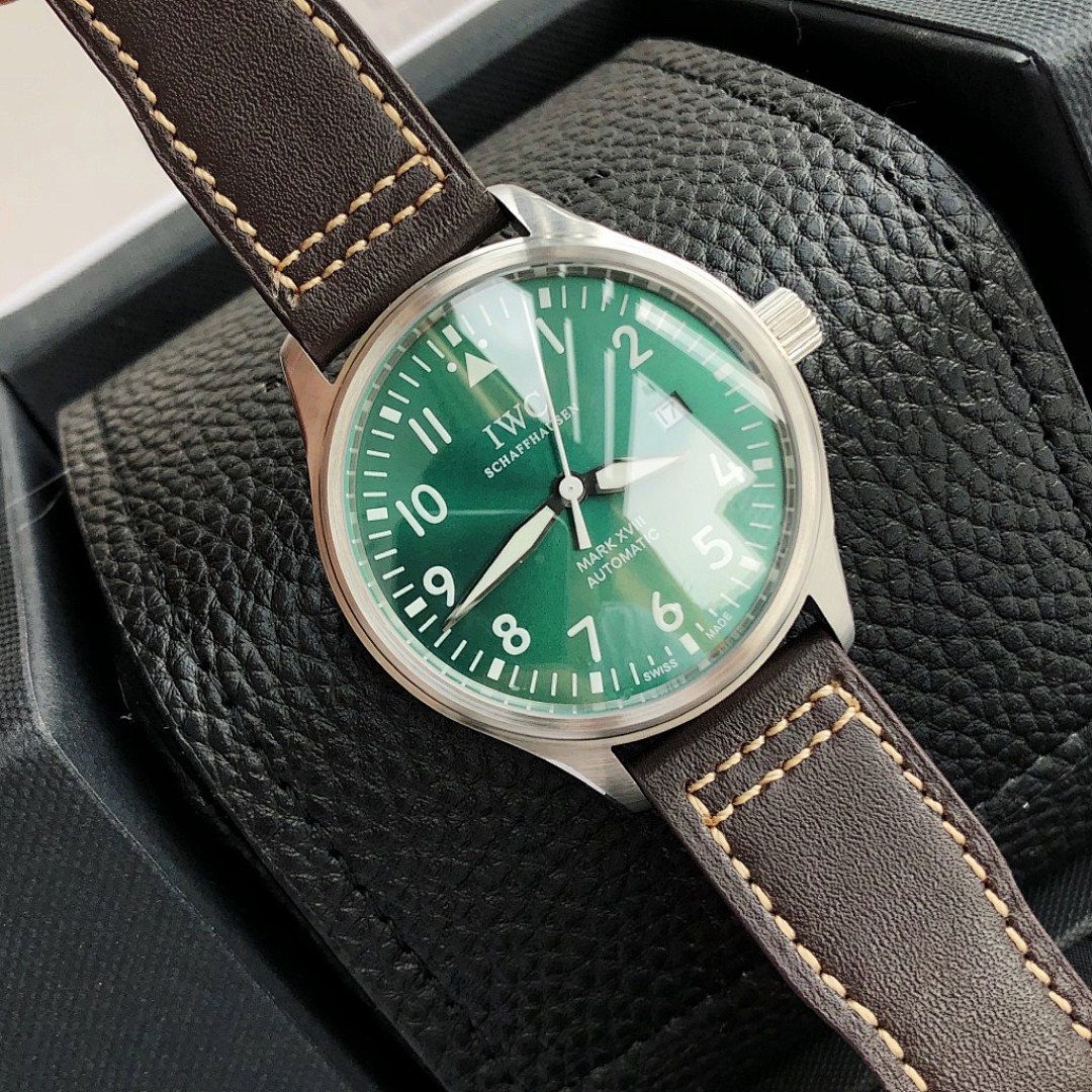 IWC Pilot Watch view