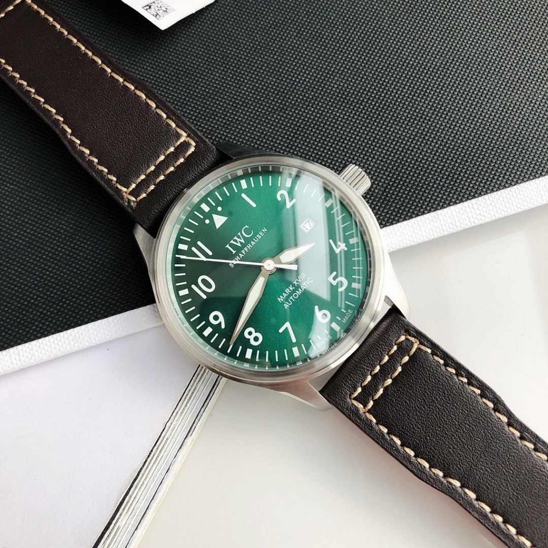 IWC Pilot Watch view
