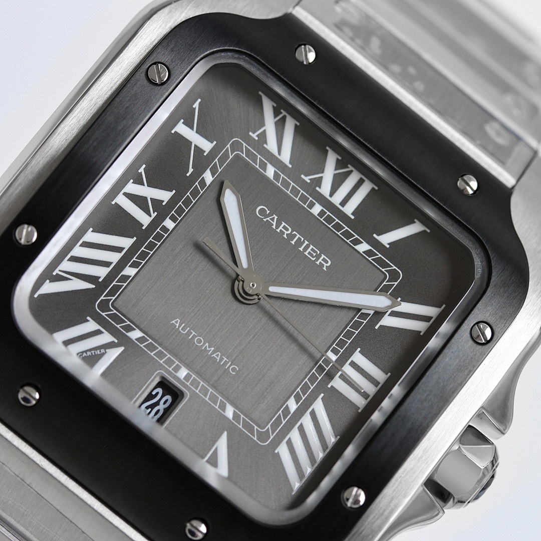 Cartier Santos Watch view