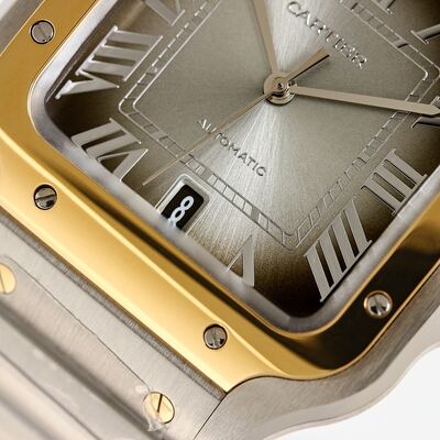 Cartier Santos Watch view 6