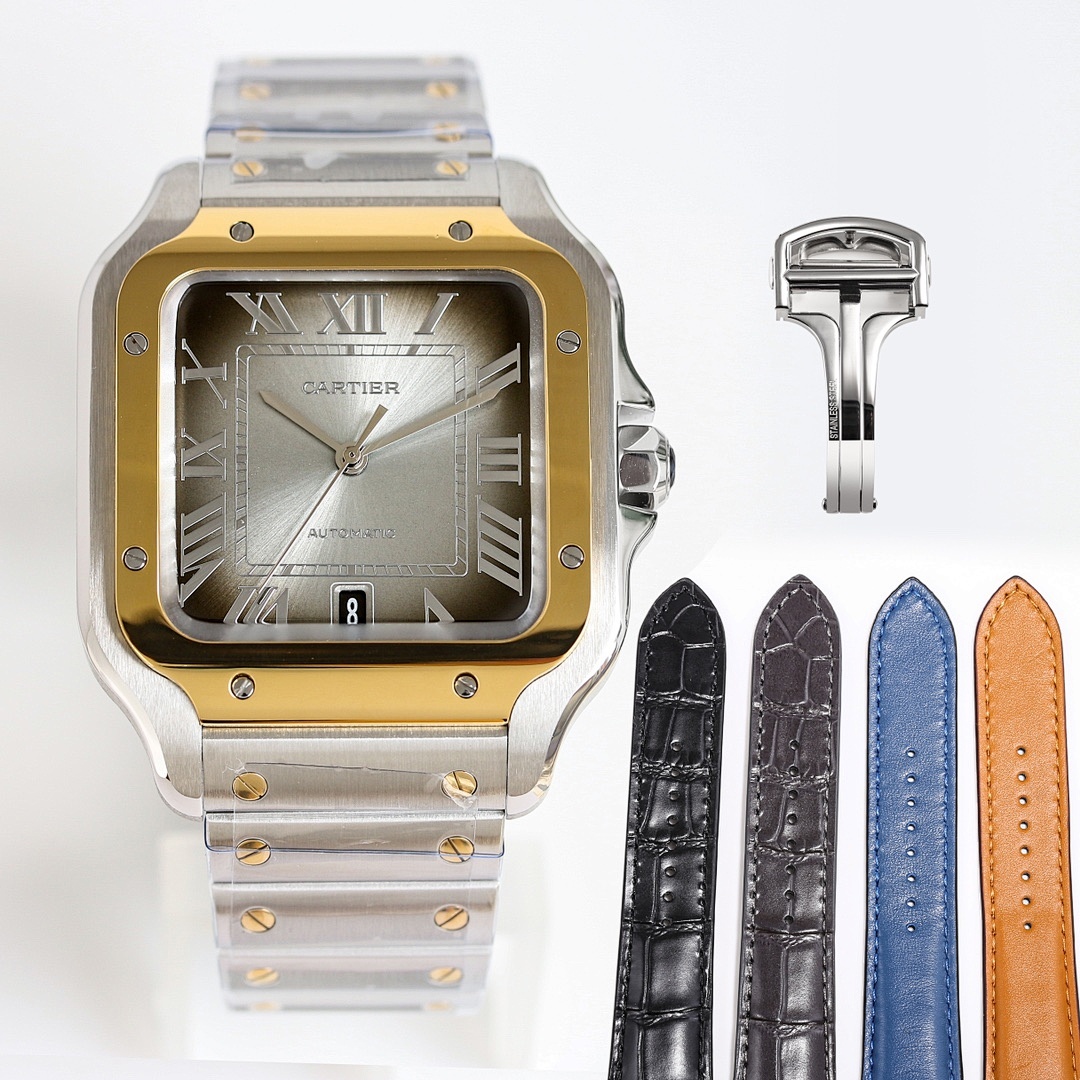 Cartier Santos Watch view
