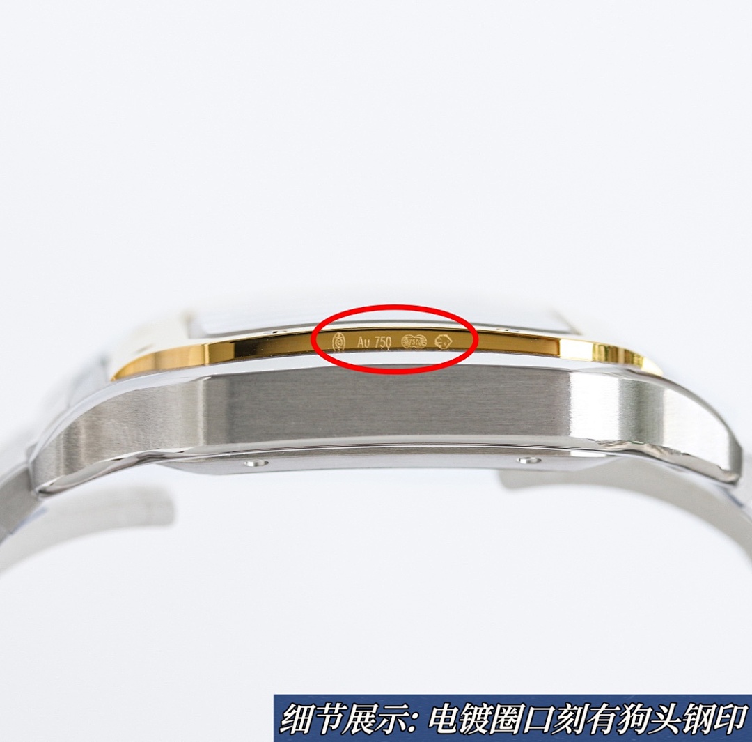 Cartier Santos Watch view