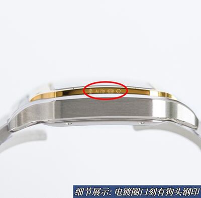 Cartier Santos Watch view 3