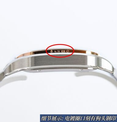 Cartier Santos Watch view 3