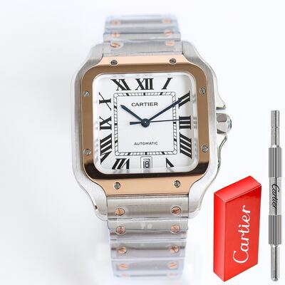 Cartier Santos Watch view 9