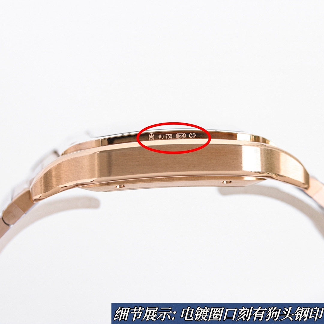 Cartier Santos Watch view
