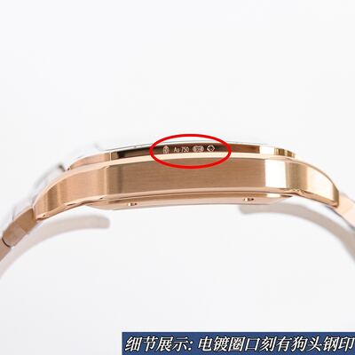 Cartier Santos Watch view 4