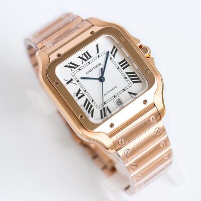 Cartier Santos Watch view 8