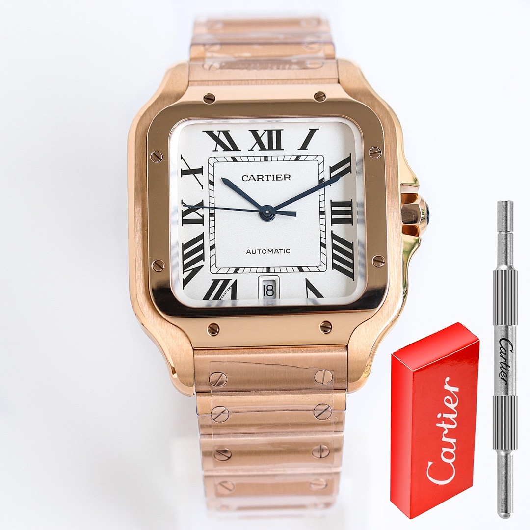 Cartier Santos Watch view