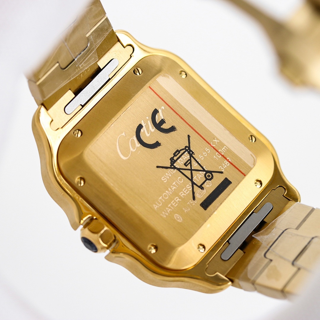 Cartier Santos Watch view
