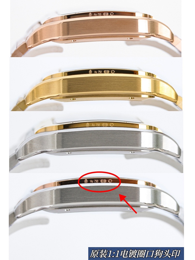 Cartier Santos Watch view