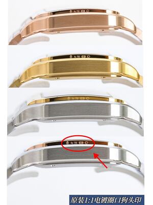 Cartier Santos Watch view 3