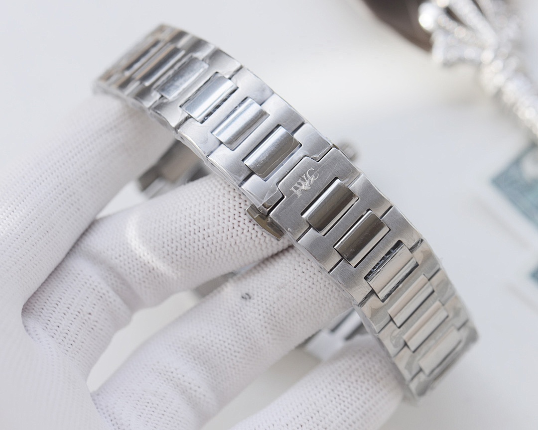 IWC Ingenieur Watch view