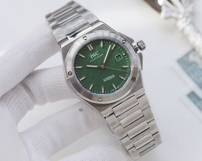 IWC Ingenieur Watch view 7