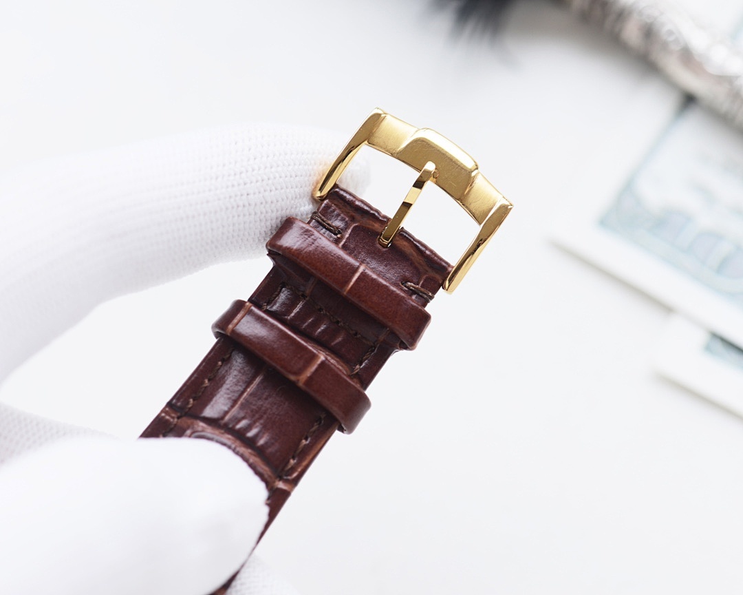 Omega Watch view