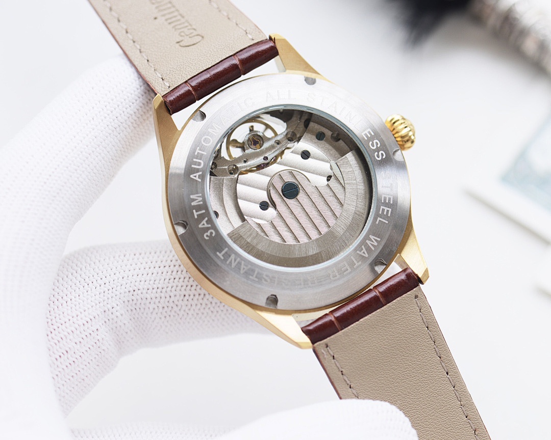 Omega Watch view