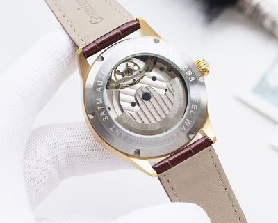 Omega Watch view 3